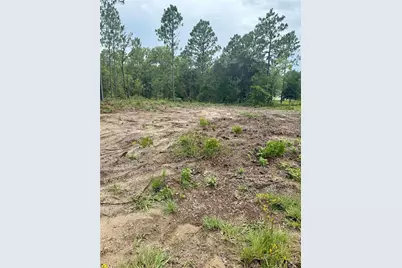Tbd NE 151st Terrace, Williston, FL 32696 - Photo 1