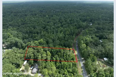 5165 Chicory Circle, Middleburg, FL 32068 - Photo 6