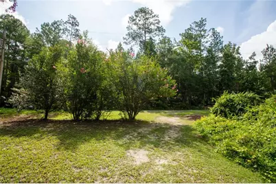 5165 Chicory Circle, Middleburg, FL 32068 - Photo 14