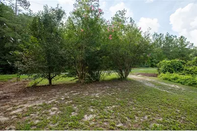5165 Chicory Circle, Middleburg, FL 32068 - Photo 22