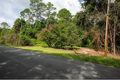 5165 Chicory Circle, Middleburg, FL 32068 - Photo 8