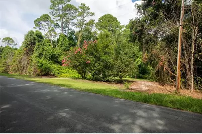 5165 Chicory Circle, Middleburg, FL 32068 - Photo 10