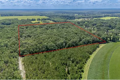 8289 NE Highway 349, Old Town, FL 32680 - Photo 4