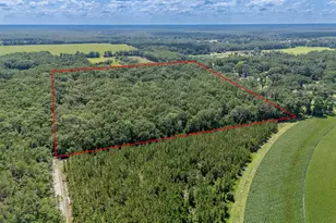 8289 NE Hwy 349, Old Town, FL 32680 - Photo 4