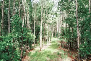 14917 NW County Road 237, Alachua, FL 32615 - Photo 22