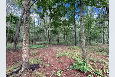 14917 NW County Road 237, Alachua, FL 32615 - Photo 24