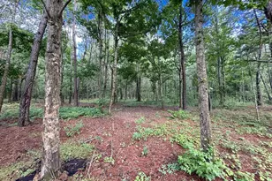 14917 NW County Road 237, Alachua, FL 32615 - Photo 24