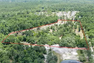 506 NW Cotton field Ln, White Springs, FL 32096 - Photo 6