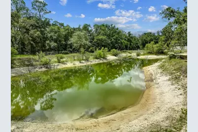 303 NE 290th Avenue, Old Town, FL 32680 - Photo 26