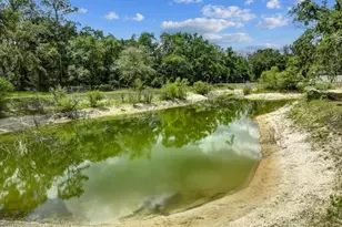 303 NE 290th Ave, Old Town, FL 32680 - Photo 16