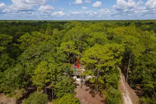 125 E Lemon St, Melrose, FL 32666 - Photo 26