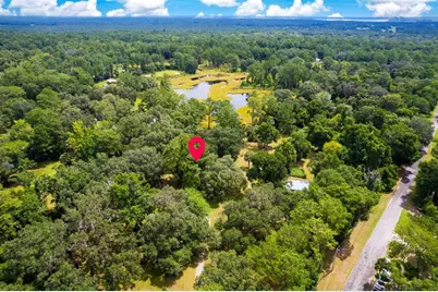 8465 NW 186th Street, Reddick, FL 32686 - Photo 44