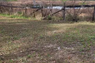 8465 NW 186th St, Reddick, FL 32686 - Photo 40