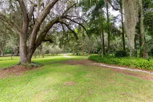 8465 NW 186th St, Reddick, FL 32686 - Photo 6
