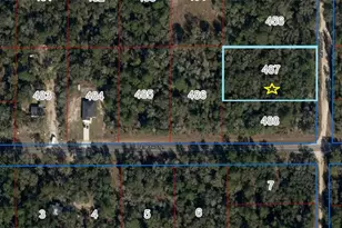 Lot 487 NE 102nd Ct, Bronson, FL 32621 - Photo 1