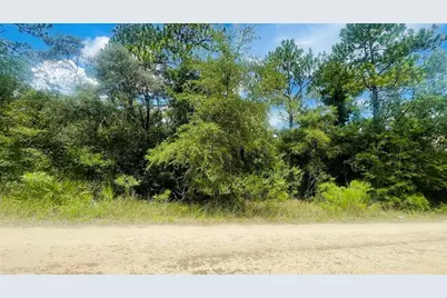 Lot 487 NE 102nd Court, Bronson, FL 32621 - Photo 2
