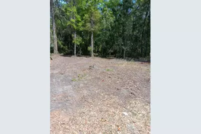 Tbd NE Bascom Norris Drive, Lake City, FL 32024 - Photo 2