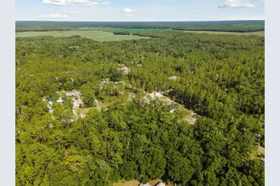 Tbd NW 16th Avenue, Bell, FL 32619 - Photo 4