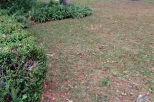 9230 NW 9 Ave, Gainesville, FL 32606 - Photo 6