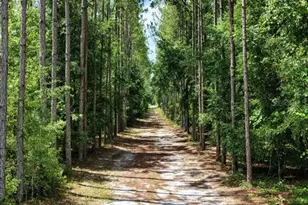 631 NW 172nd Ln, Trenton, FL 32693 - Photo 74