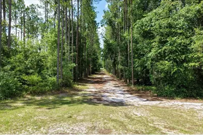 631 NW 172nd Lane, Trenton, FL 32693 - Photo 72