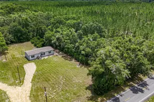 7321 NW Co Rd 345, Chiefland, FL 32626 - Photo 30