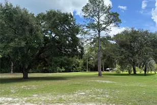 8421 SW 137th Ave, Archer, FL 32618 - Photo 42