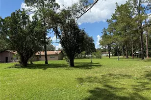 8421 SW 137th Ave, Archer, FL 32618 - Photo 44