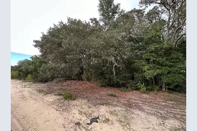 Ne 85th St, Bronson, FL 32621 - Photo 4