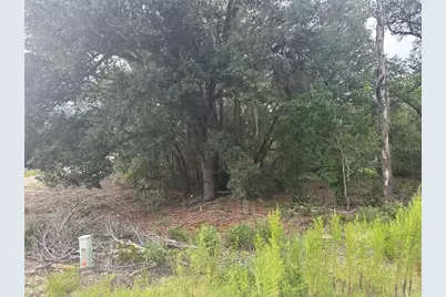 Ne 85th St, Bronson, FL 32621 - Photo 8