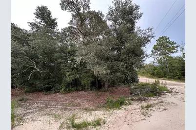 Ne 85th St, Bronson, FL 32621 - Photo 6