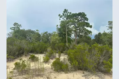 Ne 85th St, Bronson, FL 32621 - Photo 1