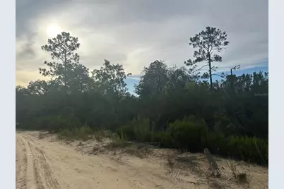 Ne 85th St, Bronson, FL 32621 - Photo 14