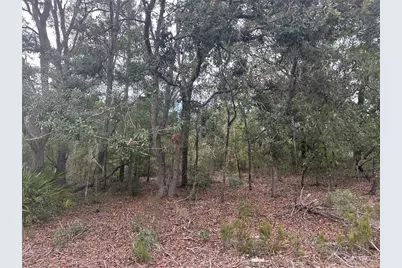 Ne 85th St, Bronson, FL 32621 - Photo 10