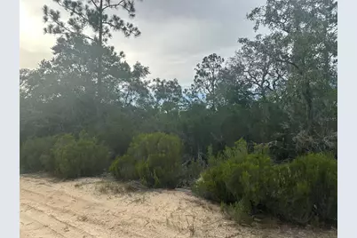 Ne 85th St, Bronson, FL 32621 - Photo 12