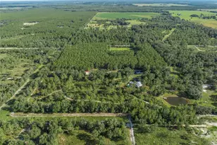 3771 184th St, Wellborn, FL 32094 - Photo 56