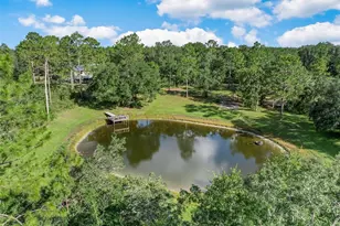 3771 184th St, Wellborn, FL 32094 - Photo 50