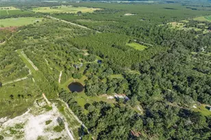 3771 184th St, Wellborn, FL 32094 - Photo 58