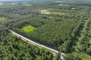 3771 184th St, Wellborn, FL 32094 - Photo 54