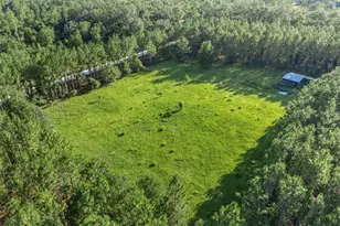 3771 184th St, Wellborn, FL 32094 - Photo 60