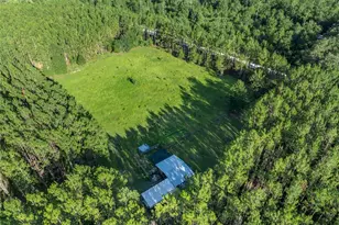 3771 184th St, Wellborn, FL 32094 - Photo 62