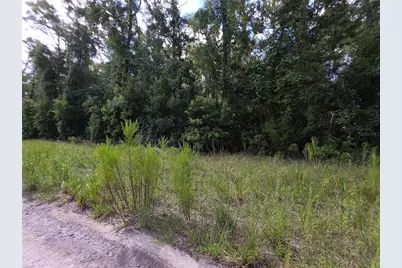 280 Terrace, Branford, FL 32008 - Photo 1