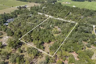 4140 NW 31st Ave, Bell, FL 32619 - Photo 18