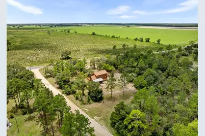 50 NE 131st Terrace, Williston, FL 32696 - Photo 6