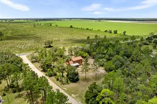 50 NE 131st Terrace, Williston, FL 32696 - Photo 6