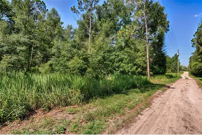 000 NE 83rd Lane, Bronson, FL 32621 - Photo 8