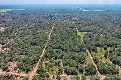 Tbd NE 83rd Lane, Bronson, FL 32621 - Photo 4