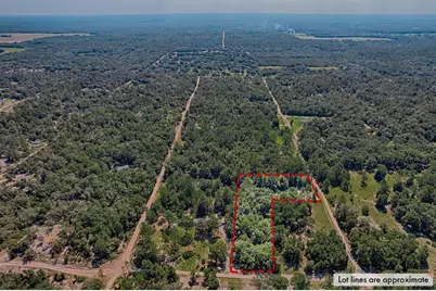 Ne 82nd Place, Bronson, FL 32621 - Photo 2
