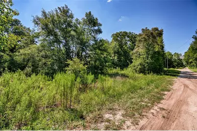 Ne 82nd Place, Bronson, FL 32621 - Photo 10