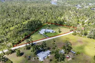 1175 SW 248th Ave, Steinhatchee, FL 32359 - Photo 22